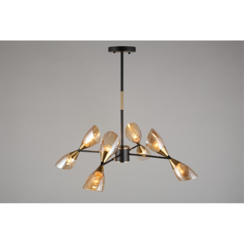 Люстра потолочная OML-66807-08 фото 7 Люстра потолочная OML-66807-08 фото 7