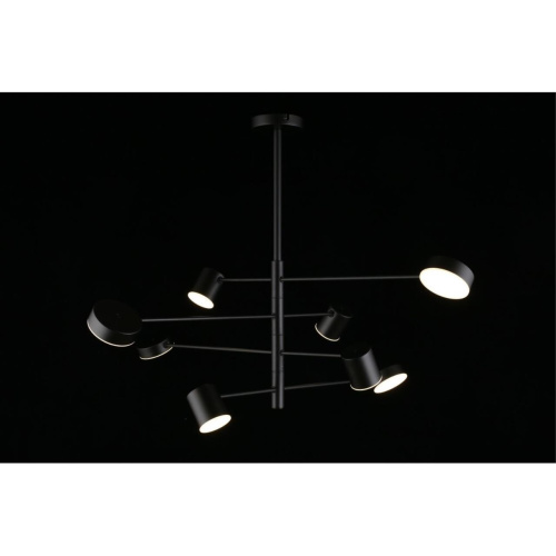 Люстра потолочная APL.017.07.48 фото 9