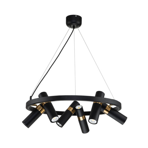 Подвесная люстра Favourite Light Point 2997-6P фото 4