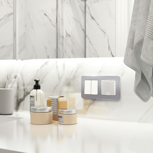 Рамка из металла на 2 поста Platinum алюминий W0022606 фото 2