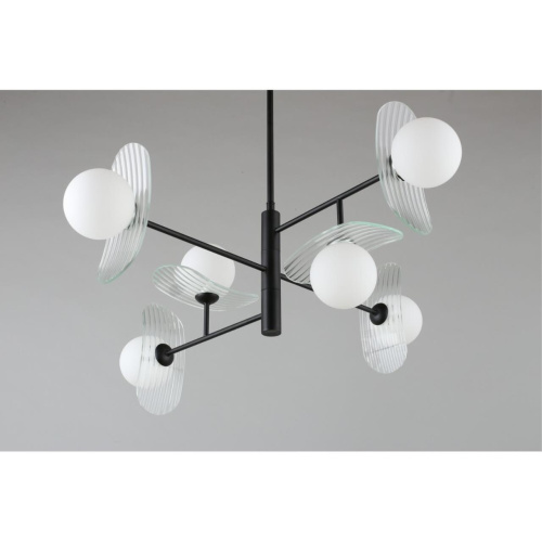 Люстра потолочная OML-51107-06 фото 8 Люстра потолочная OML-51107-06 фото 8