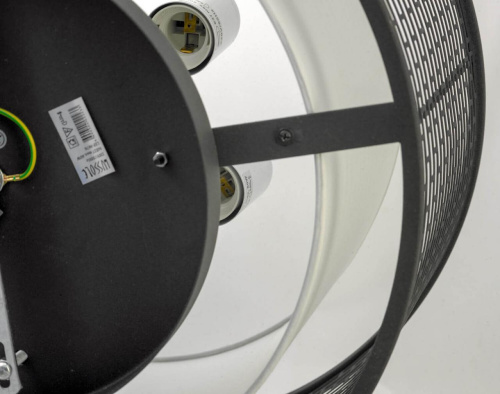 Потолочная люстра Lussole Loft LSP-9676 фото 2