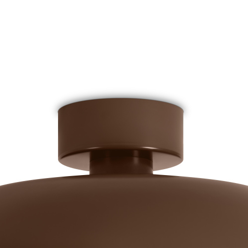 Потолочный светильник Freya FR5602CL-L10BR фото 6 Потолочный светильник Freya FR5602CL-L10BR фото 6