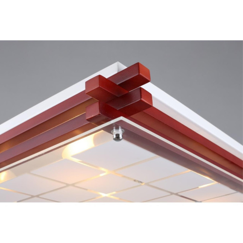 Светильник настенно-потолочный OML-40527-05 фото 6