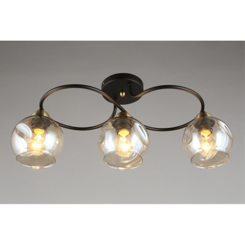 Люстра потолочная OML-95007-03 фото 5 Люстра потолочная OML-95007-03 фото 5