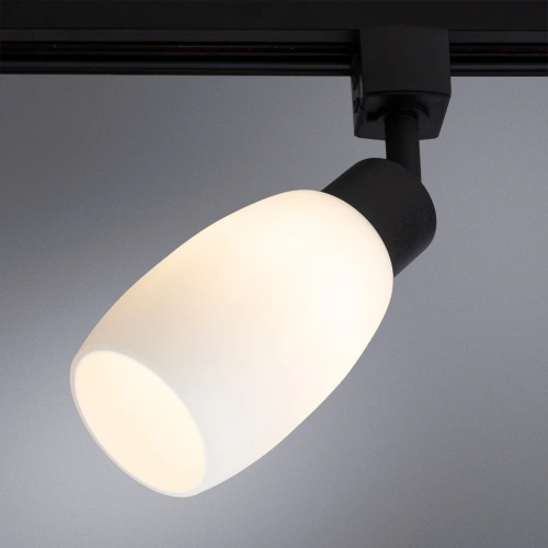 Трековый светильник Arte Lamp MIIA A3055PL-1BK фото 2