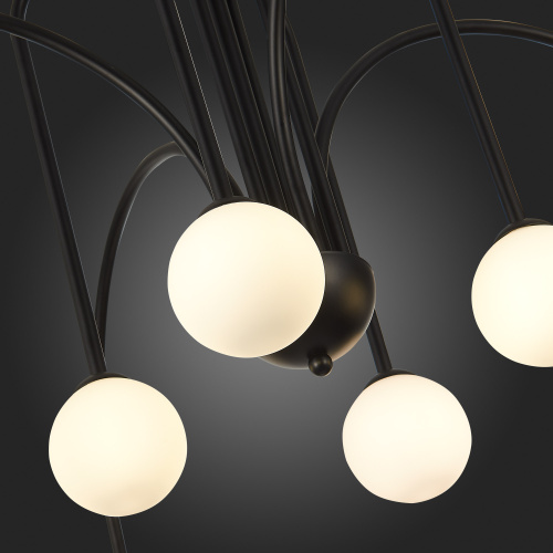 SL1204.402.08 Люстра потолочная ST-Luce Черный/Белый G9 8*5W JINETO фото 9 SL1204.402.08 Люстра потолочная ST-Luce Черный/Белый G9 8*5W JINETO фото 9