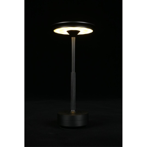 Настольная лампа APL.064.24.05 фото 10