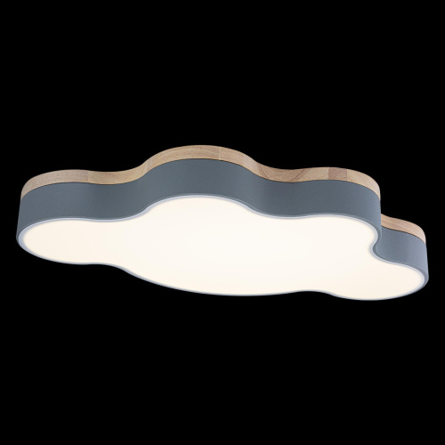 10005/36 Grey Потолочный светильник LOFT IT Axel фото 5 10005/36 Grey Потолочный светильник LOFT IT Axel фото 5