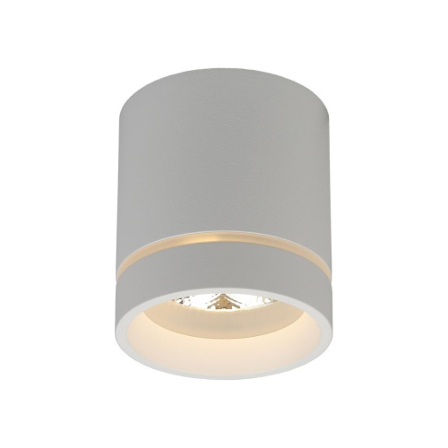 Светильник встраиваемый-накладной APL.0043.09.05