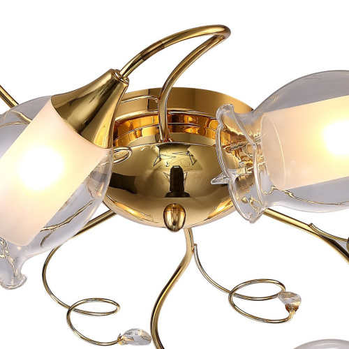 Потолочная люстра Arte Lamp MUGHETTO A9289PL-8GO фото 4 Потолочная люстра Arte Lamp MUGHETTO A9289PL-8GO фото 4