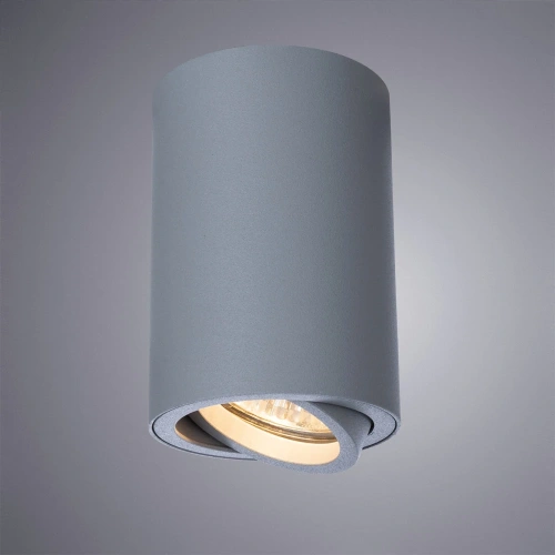 Точечный накладной светильник Arte Lamp SENTRY A1560PL-1GY фото 4