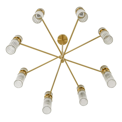 Люстра Lumion DENVER 8276/8 фото 2