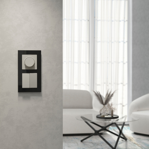 Выключатель двухклавишный (дымчатый) W1220004 фото 5