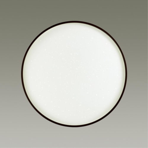 2075/DL PALE SN 000 Светильник пластик/белый/коричневый LED 48Вт 3000-6300K D390 IP43 пульт ДУ GETA COFFEE фото 5 2075/DL PALE SN 000 Светильник пластик/белый/коричневый LED 48Вт 3000-6300K D390 IP43 пульт ДУ GETA COFFEE фото 5