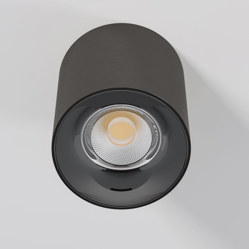 Светильник потолочный светодиодный Primo 12W 4000K титан 25116/LED фото 2