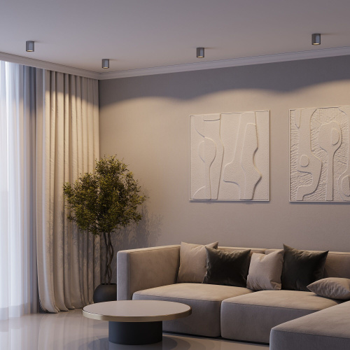 Светильник потолочный светодиодный Primo 12W 4000K титан 25116/LED фото 2