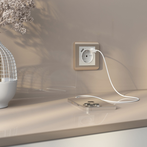 Рамка из поликарбоната на 1 пост Stream шампань W0012111 фото 4 Рамка из поликарбоната на 1 пост Stream шампань W0012111 фото 4