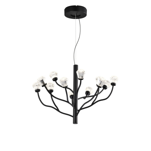 Люстра P0550-12A black фото 2