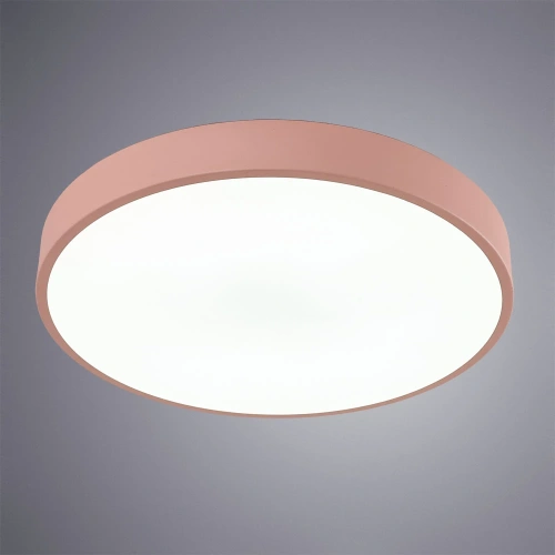Потолочный светильник Arte Lamp ARENA A2661PL-1PK фото 2