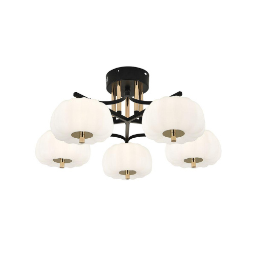 Потолочная светодиодная люстра Escada Halma 10301/5LED фото 6 Потолочная светодиодная люстра Escada Halma 10301/5LED фото 6