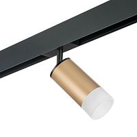 Комплект с трековым светильником Lightstar Rullo (214440+595057+202431) PRO44031