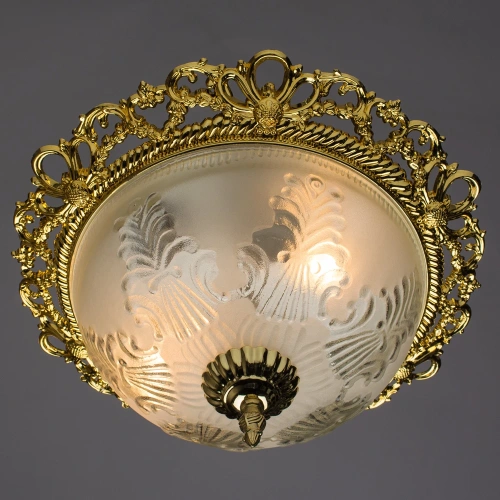 Потолочный светильник Arte Lamp PIATTI A8002PL-2GO фото 2