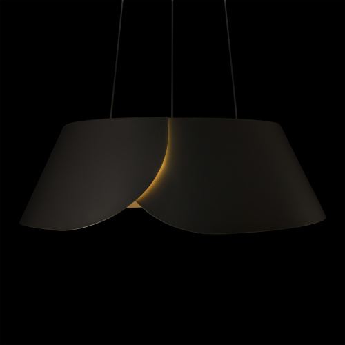 10370P Black Подвесной светильник LOFT IT Lane фото 8