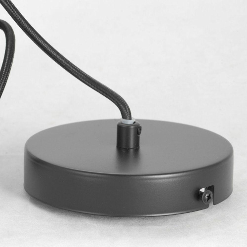 Подвесной светильник Lussole Lgo Strawberry GRLSP-8211 фото 6