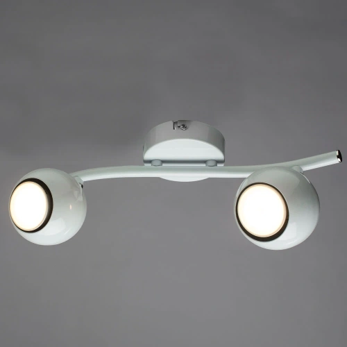 Спот Arte Lamp PIATTO A6251PL-2WH фото 2 Спот Arte Lamp PIATTO A6251PL-2WH фото 2