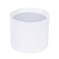 Накладной светильник Favourite 4708-1C