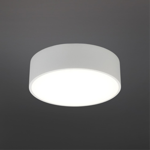 Светильник настенно-потолочный APL.0114.09.12 фото 3