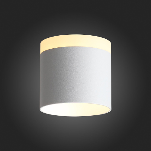ST102.502.09 Светильник потолочный Белый LED 1*9W 3000K 702Lm Ra>80 120° IP20 D79xH75 170-240V Накладные светильники фото 9