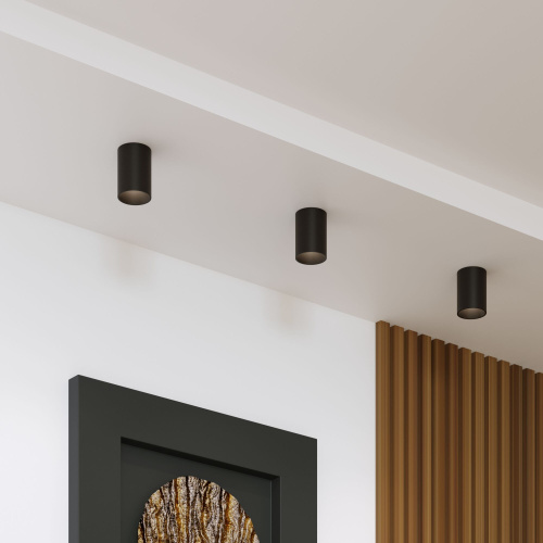 Накладной потолочный светильник 25011/01 фото 3