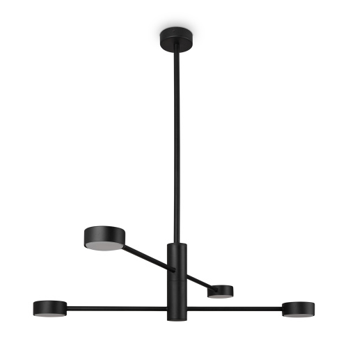 Потолочный светильник Freya FR5363CL-04B фото 11