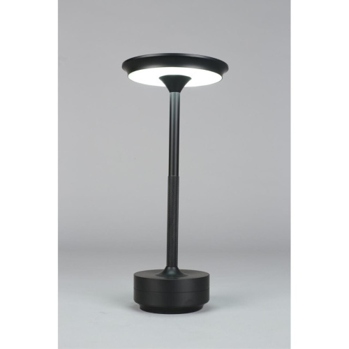 Настольная лампа APL.064.24.05 фото 5