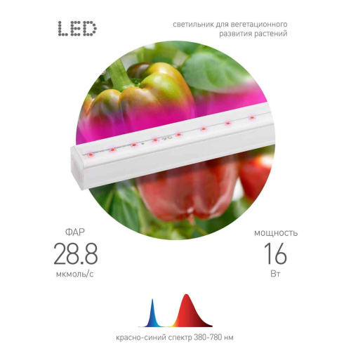 Настенный светодиодный светильник ЭРА Prom Fito-16W-Т5-N Б0045233 фото 3