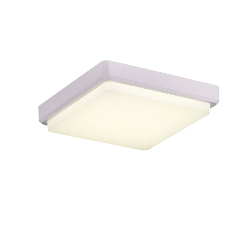 SLE200212-01 Светильник потолочный Белый/Белый LED 1*20W 4000K TADDIO фото 4