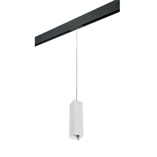 PRORP6396 Светильник д/1-фазн трека RULLO HP16 (216396+595957) PRORP6396 Светильник д/1-фазн трека RULLO HP16 (216396+595957)