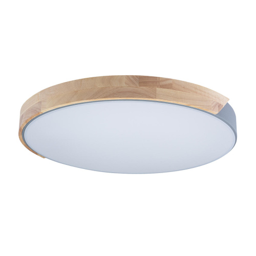 10004/36 Grey Потолочный светильник LOFT IT Axel фото 4 10004/36 Grey Потолочный светильник LOFT IT Axel фото 4