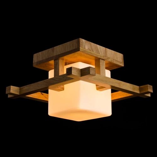 Потолочный светильник Arte Lamp WOODS A8252PL-1BR фото 2