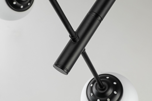 Подвесной светильник Lampit TP 2007-4 BK фото 4