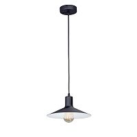 Потолочная люстра Vitaluce V2829-1/1S