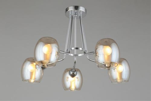 Люстра потолочная OML-27307-05 фото 4