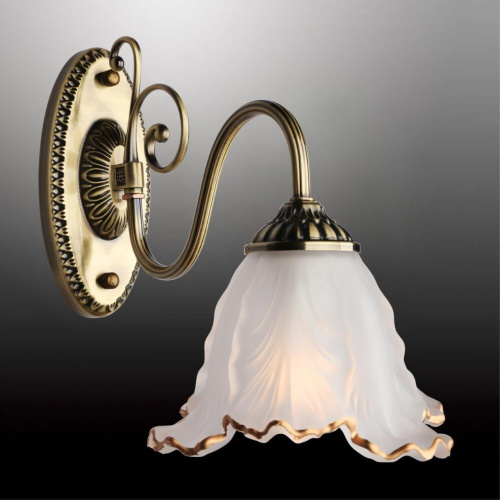 Светильник настенный (Бра) OML-54801-01 фото 5 Светильник настенный (Бра) OML-54801-01 фото 5