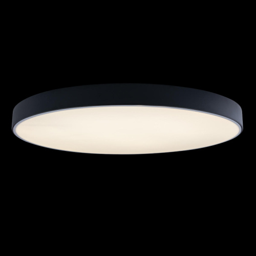 10002/48 Black Потолочный светильник LOFT IT Axel фото 2 10002/48 Black Потолочный светильник LOFT IT Axel фото 2