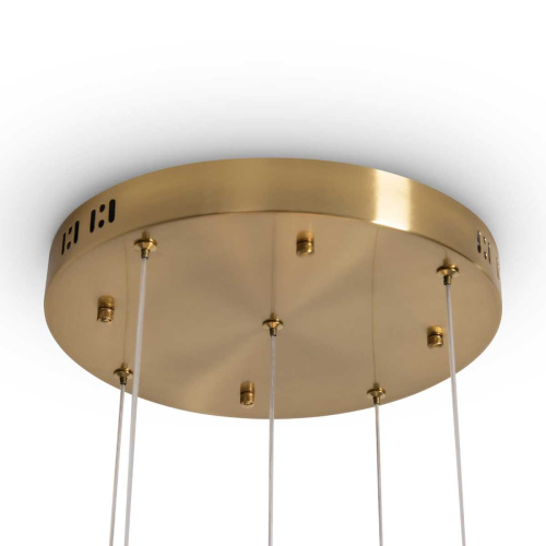 Подвесной светильник Freya Modern Flower FR5579PL-L40BS фото 8 Подвесной светильник Freya Modern Flower FR5579PL-L40BS фото 8