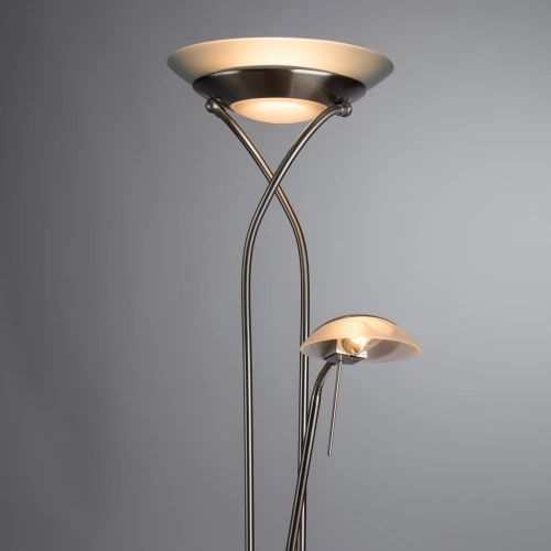 Торшер Arte Lamp DUETTO A4399PN-2SS фото 2