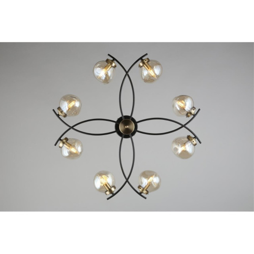 Люстра потолочная OML-95307-08 фото 7 Люстра потолочная OML-95307-08 фото 7