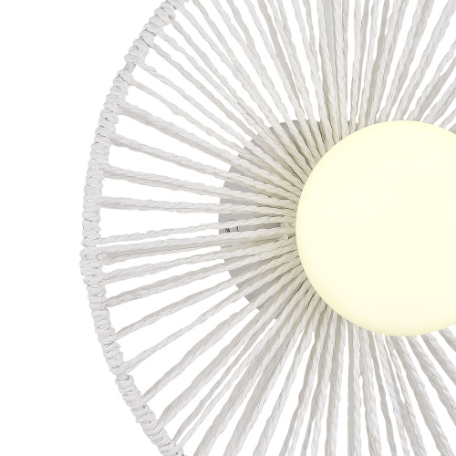SLE6022-501-01 Светильник настенный белый/белый G9 LED 1*5W LOOM фото 4 SLE6022-501-01 Светильник настенный белый/белый G9 LED 1*5W LOOM фото 4